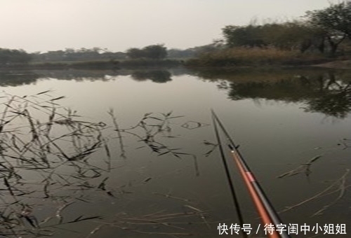 野钓|初春为什么自然水域的鲫鱼会浮头难钓老钓友教你三招上鱼技巧