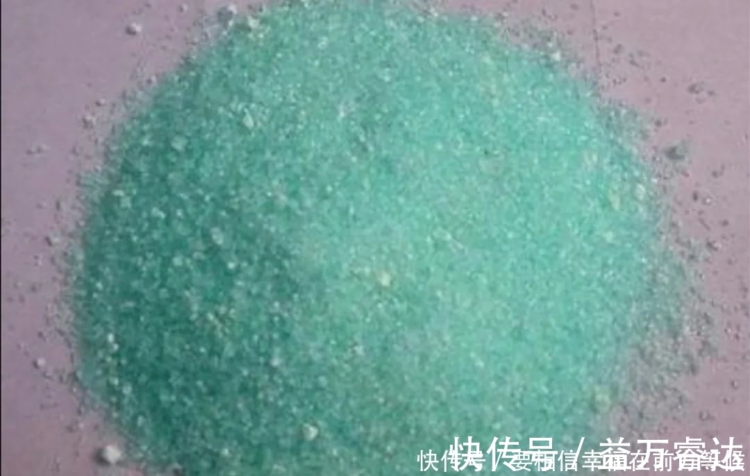 叶面|硫酸亚铁养花,不要乱用,做好2个细节,长得旺盛叶子浓绿