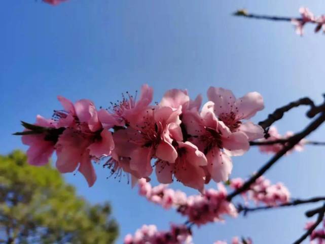 好运势|2022年1月2日开始,家运顺风顺水,财利双丰,迎来一大波好运势的4大生肖