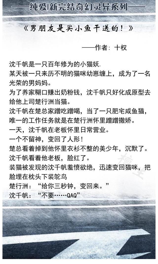 沈千帆@纯爱奇幻文：是什么让一只小白猫放弃猫德当替身猫，是小鱼干呀