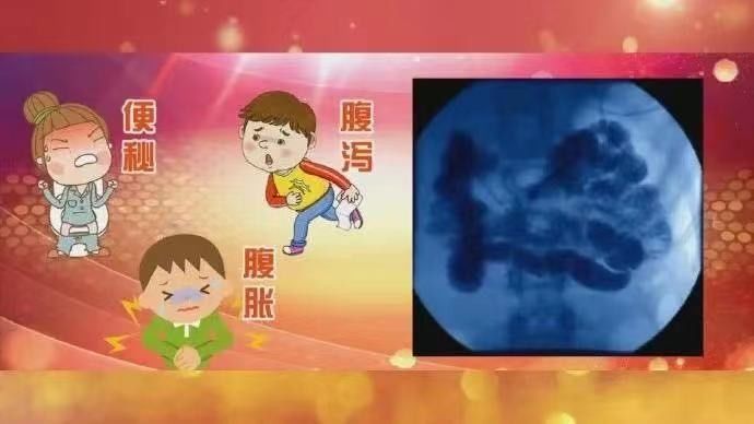 免疫力|免疫力下降总生病？多半是身体这里出了问题！教你两步调节法，养肠道，提免疫?