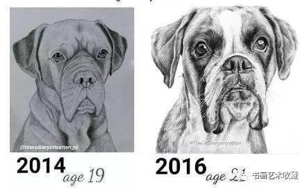  美女|一匹马画了16年！美女学渣逆袭成功，坚持下来很酷！