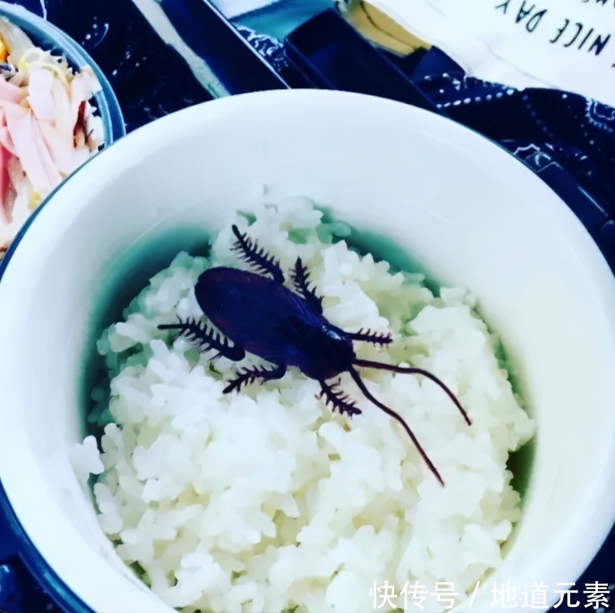 素燕窝|56岁日本主妇给丈夫做神级便当,连李小龙都不放过,网友:太创意