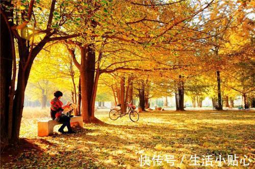 燥咳|深秋到来,燥邪袭肺,如何缓解燥咳带来的不适症状?