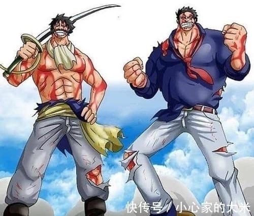 战国|海贼王:路飞是海贼,龙是革命军,为何海军不逮捕卡普?