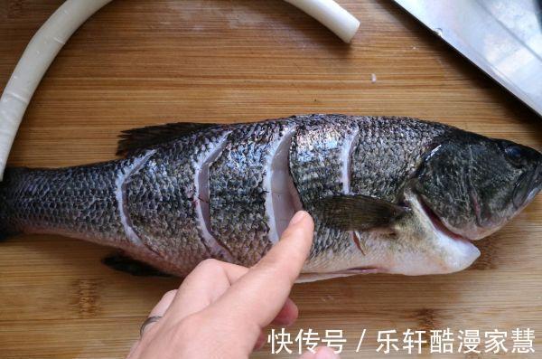 只爱这种做法清蒸鲈鱼，又快又简单，鱼肉鲜嫩细腻，好吃没有腥味
