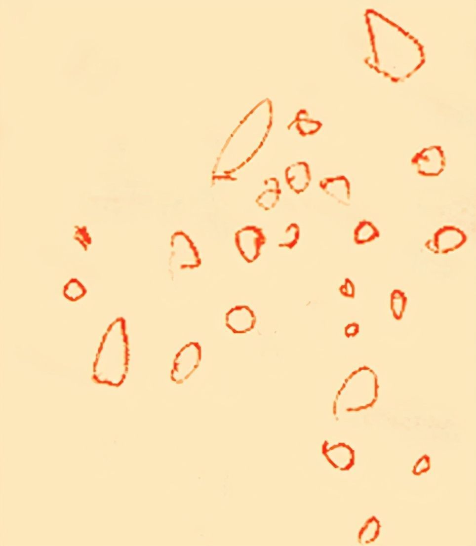  家长|孩子画画“画不好”？不，是家长觉得“画不像”