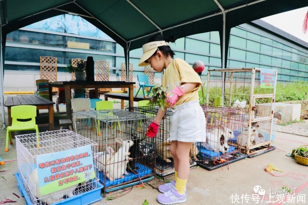 儿童乐园 盘点！松江遛娃好去处，第一个你一定没去过