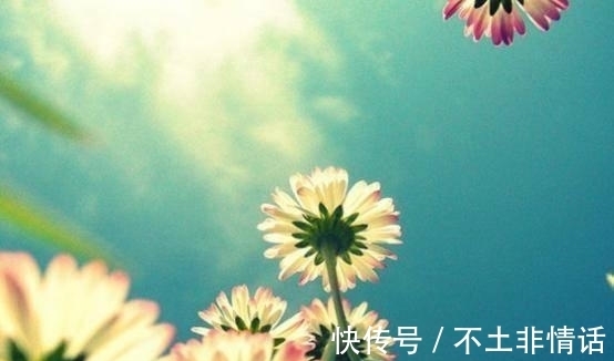 新年|新年初-3月6日，一生顺遂，桃花朵朵开的4大生肖