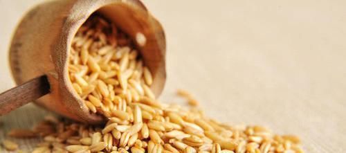 菊花茶|它是天然“安眠药”, 睡前吃2粒, 拯救失眠, 晚上睡得香