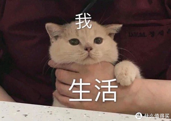 黑芝麻丸|提醒女孩子:少吃辣条,多囤这5种零食,好吃又养人,告别黄皮