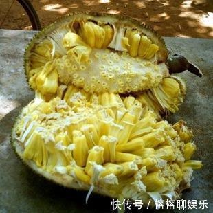 食物|子宫光滑的女性,都爱吃以下三种食物,缓解痛经,预防子宫早衰