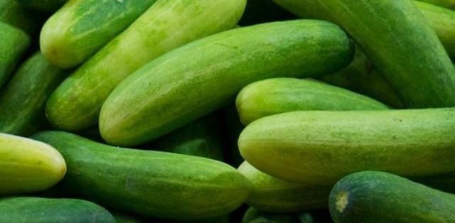 忠告黃瓜不能與此物同食,吃了就是沒病找病,還有人以為是補品