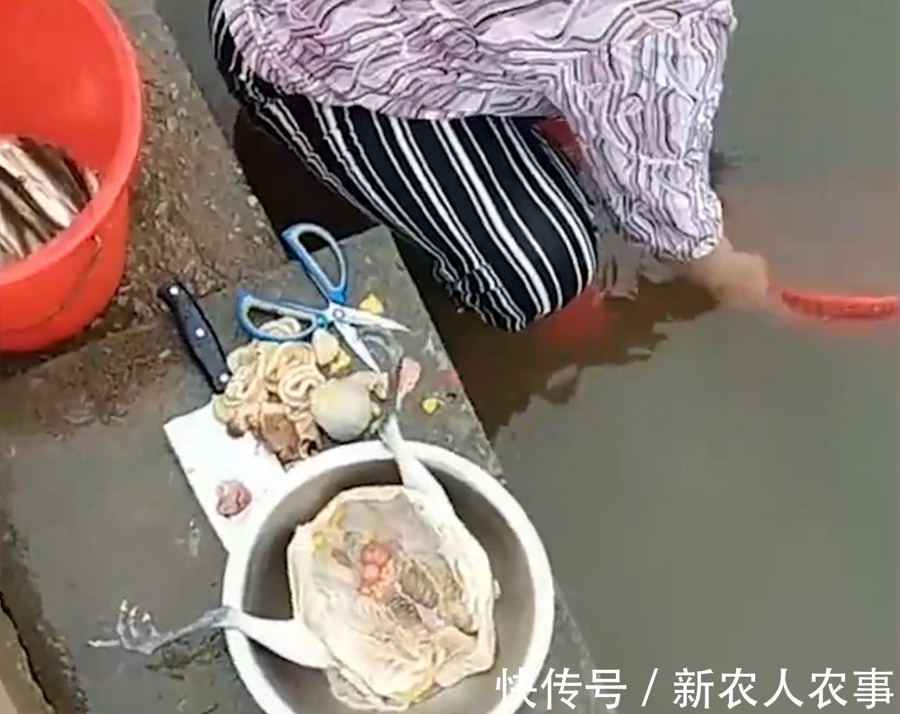 一举俩得！奶奶带孙子去河边杀鸡收获一盆意外之喜，小孩直接傻眼