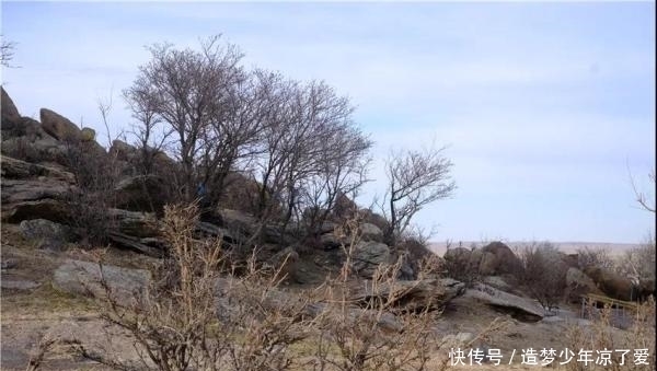 眺望·春天的乌里雅斯太山