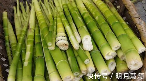 血脂异常|血脂高了别发愁，常吃这6种食物，可以疏通血管，远离“血栓”