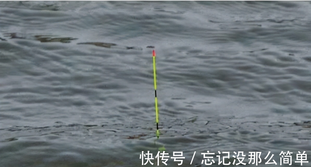 鱼口杂乱无实口,调低钓高这么调,马上竿竿都是死口