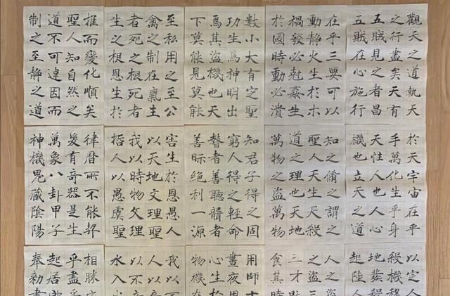 褚遂良$“书法家”夏雨,用褚遂良笔法写唐诗,这水平,值得一赞