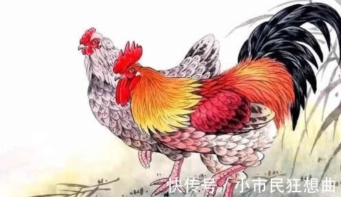 生肖狗|好运相伴，喜事多见，财源广桃花旺，日子甜蜜蜜的4大生肖