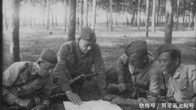 等身|视死如归的钢铁之师,荣誉等身的近卫军NO.1,塔曼师的二战岁月