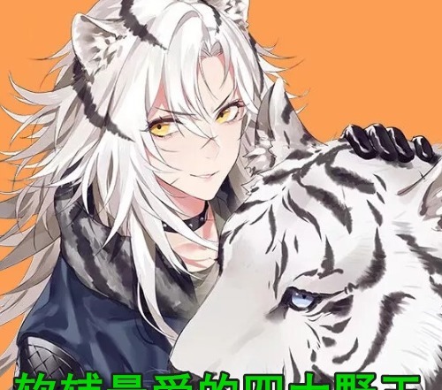 耗子|软辅最爱的4大野王，电耗子：是我不配了吗？
