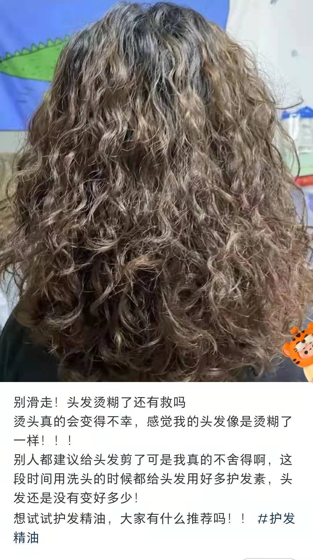 打理 烫法式卷步步惊云,烫羊毛卷大型翻车,还是“造型烫”比较靠谱