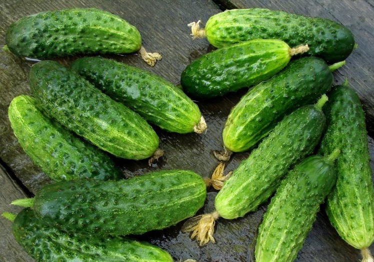 白菜|白菜家家户户都吃,但不建议与3物同食,为了健康须了解