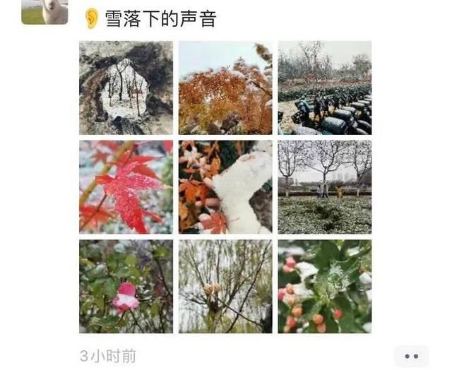 冬天|突如其来的滨医初雪，惊艳这个冬天