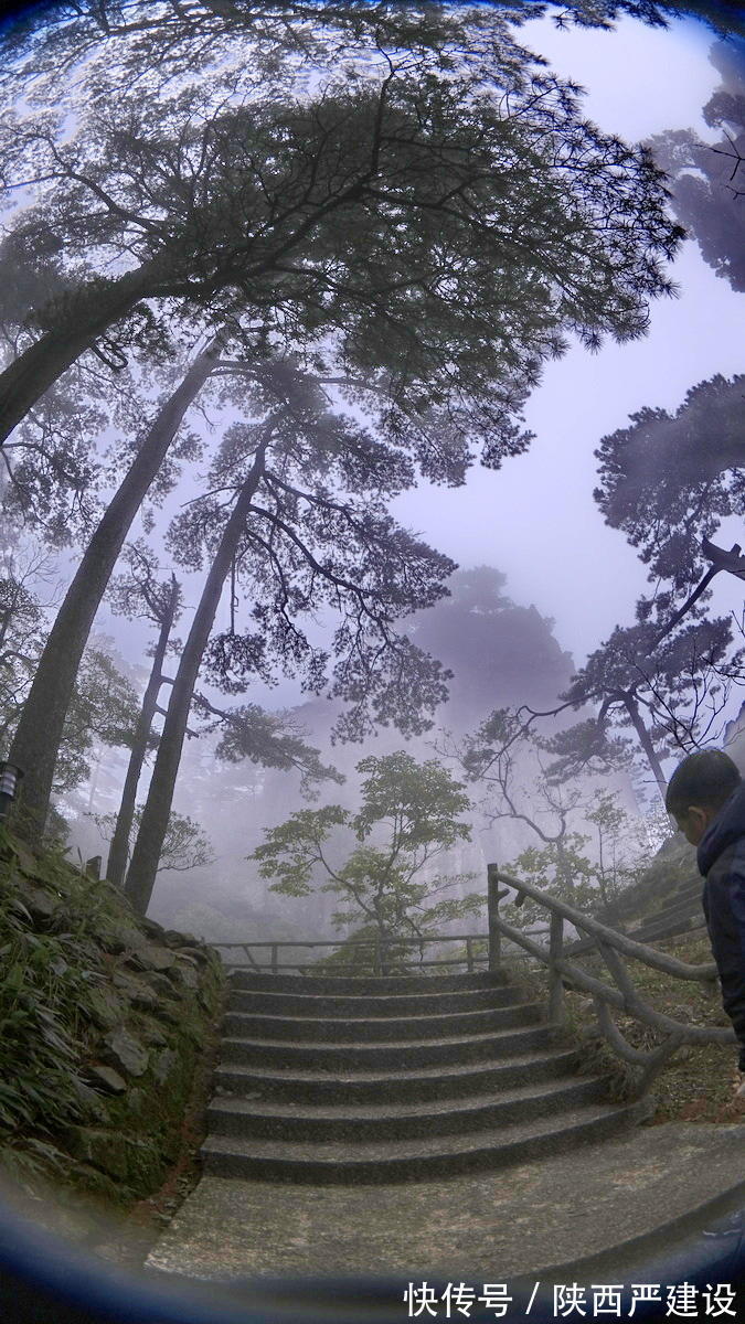 黄山|薄云浓雾游黄山宛若仙境【严建设】