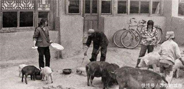 如今|第一个“万元户”黄新文，曾被《人民日报》报道，如今怎样了？