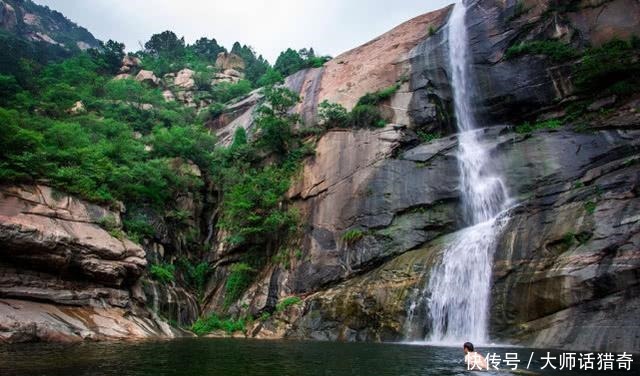 仙草|民间神话故事泰山上有个黑龙潭，潭下的水晶宫种植了两棵仙草