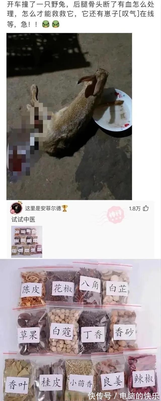 |搞笑图集:一个宿舍42个学生,网友:养猪都不敢这么养啊