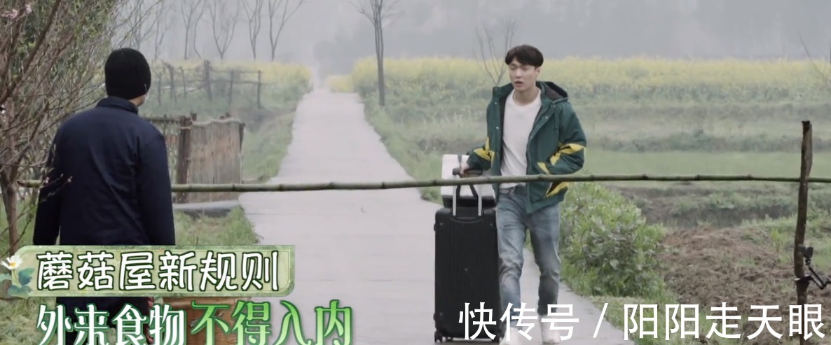 何炅|《向往的生活5》开播,黄磊翻窗偷梨吃,张艺兴刚登场就露一手!