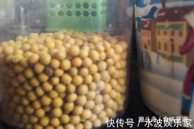 滤布|教你在家发豆芽，不用土壤不用肥料，3天就能吃，脆嫩营养又卫生