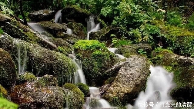 玉泉山|紫禁城有70多口井，为何没人敢喝里面的水？知道原因你也不敢喝