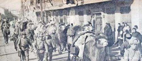 军队里|军团长打了败仗逃走,途中遇见3名少女,其中一人大怒说打死你!