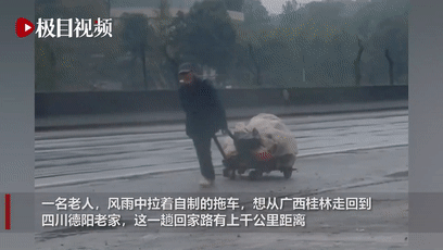 桂林|一司机“尾随”64岁流浪老人多日，真相令人泪目