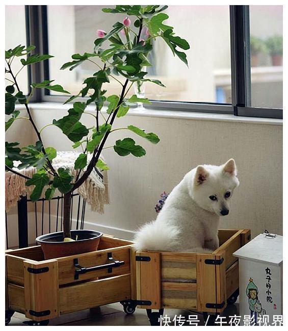 家居|装修不能比,看了别人的这9个“神”设计,我家后悔装早了!