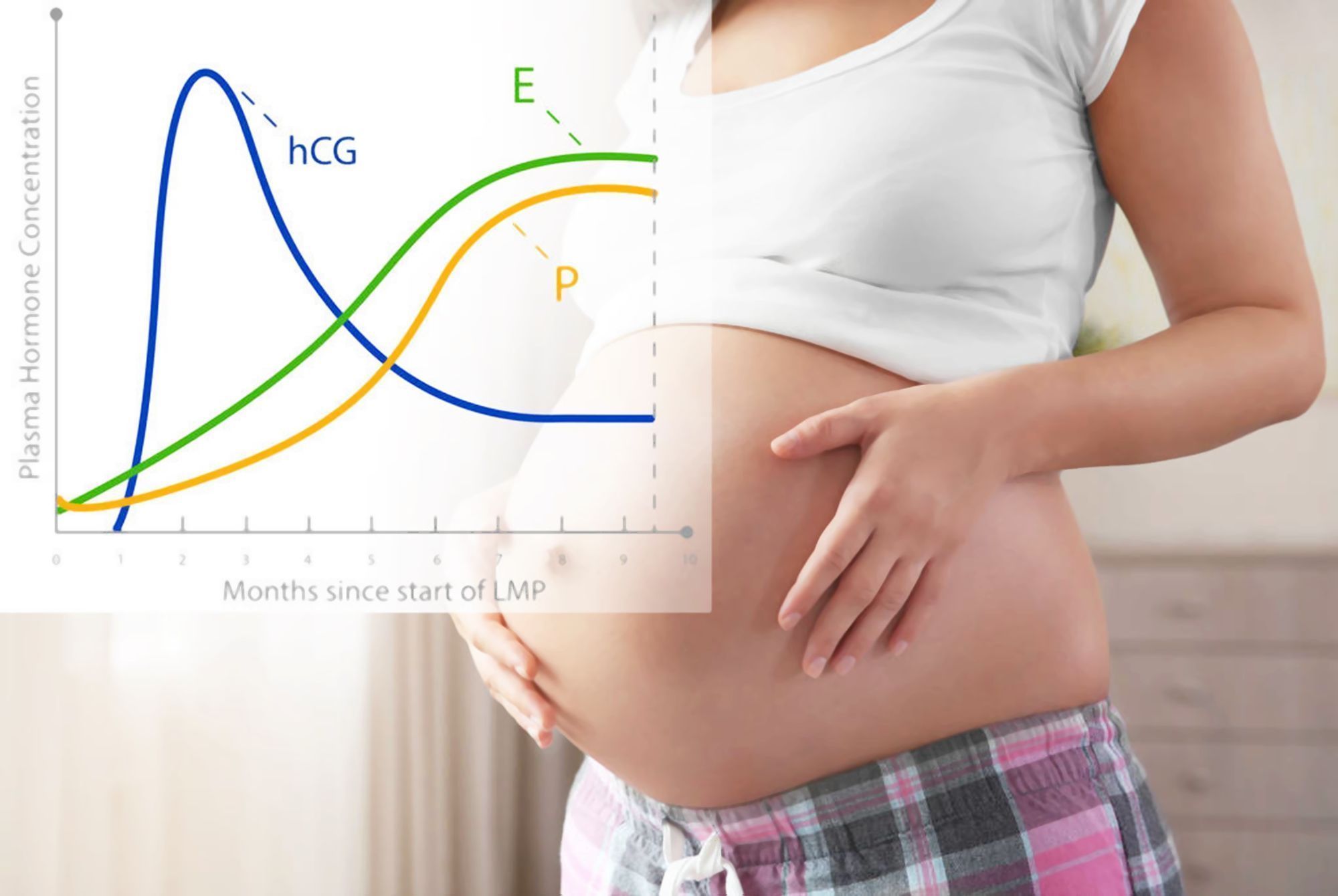 胎儿|怀孕讲究“瞒三不瞒四”,和胎儿发育关系不大,要正确认识孕肚