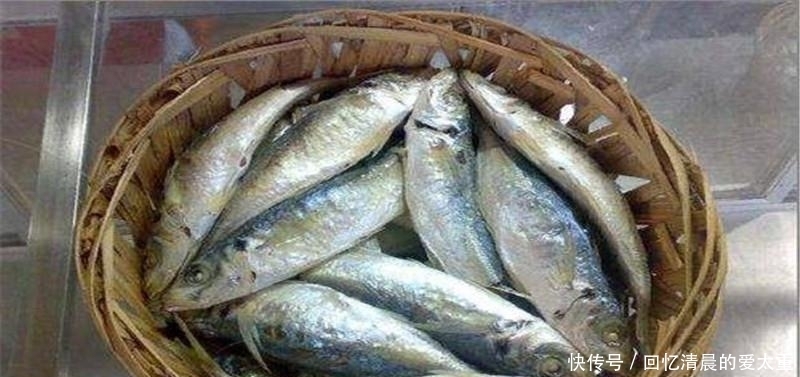 可惜|刘伯温临终前送朱元璋一筐鱼，17年后他才明白，可惜为时已晚