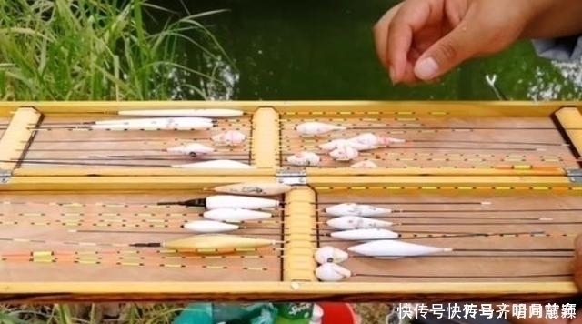 老司机|六月了,板鲫“狡猾”又难钓,多亏二十年老司机指点才钓过了瘾