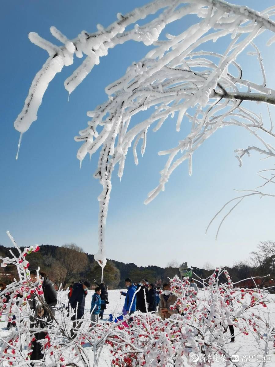 跑马岭|虎啸春来丨春节期间，来跑马岭感受沉浸式冰雪乐园