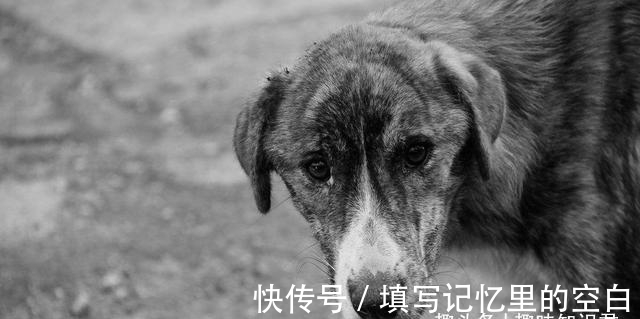 b盘点8条超级有趣的冷知识，你知道多少呢？