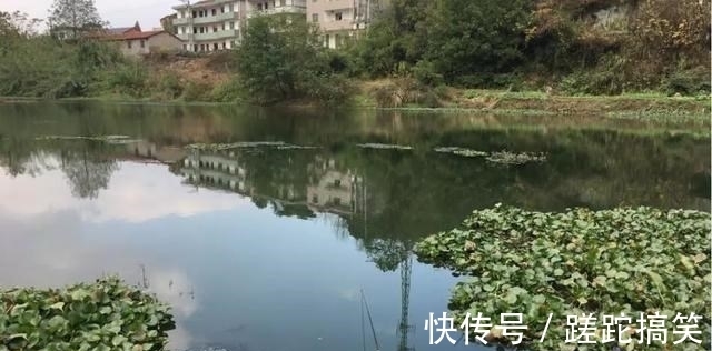 秋冬季野钓的真实状况，没多少人愿意讲实话，因为现实很残酷