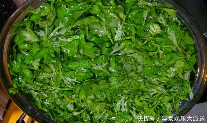 泡水|艾叶泡水太厉害了,男人女人都离不开,值得分享给身边人!