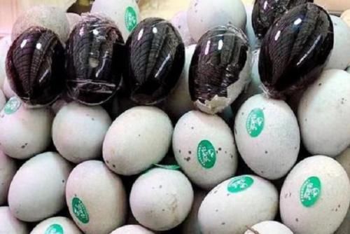 同样是皮蛋，有黑点和无黑点哪个好？差距很大，别胡乱瞎买！