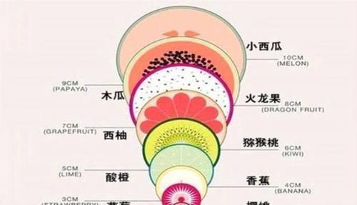 开十指|顺产说的“开十指”是多大看完对比图后，无法直视这几种水果了
