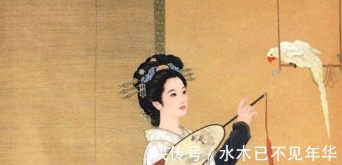 女诗人@这位女诗人太自恋,自以为唐玄宗喜欢她,为见皇帝一面而丢了性命!