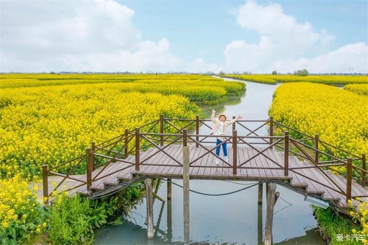 和我家的美男子欣赏大自然的美景