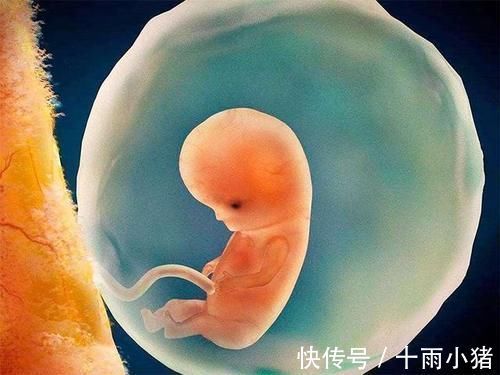 妈妈们|怀孕两个月,检查没有胎心胎芽,只有个空囊?这是什么情况啊?